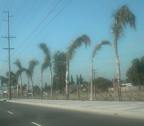 city of stanton palms on beach blvd